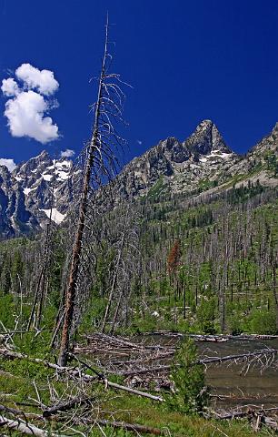 198 grand teton national park.JPG